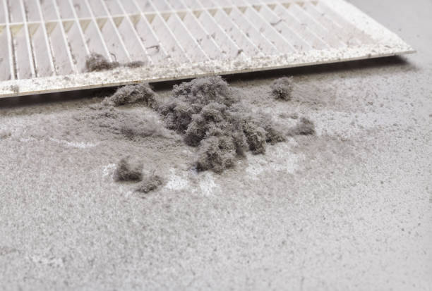 Best Residential Air Duct Cleaning  in Ojai, CA
