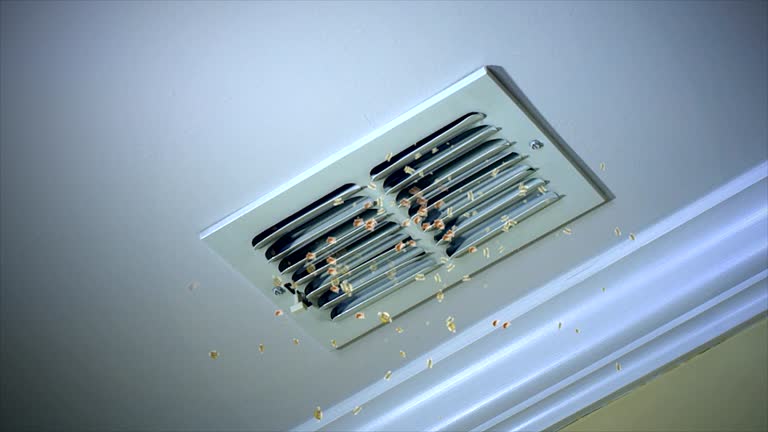 HVAC System Cleaning in Ojai, CA